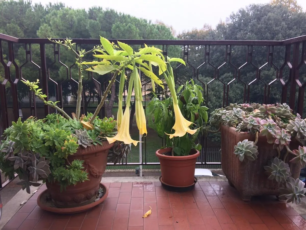 B&B Pergolesi Verona Bed & Breakfast