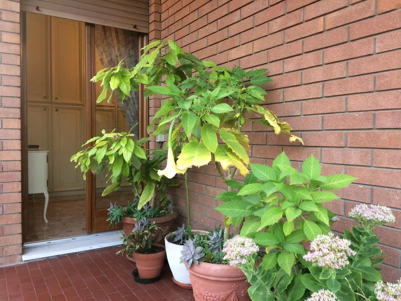 Bed & Breakfast B&B Pergolesi Verona